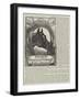 Advertisement, St Jacobs Oil-null-Framed Giclee Print