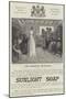 Advertisement, Sunlight Soap-John Henry Frederick Bacon-Mounted Giclee Print