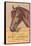 Advertisement with Horse-null-Framed Stretched Canvas