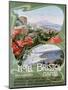 Advertising Poster for the Hotel Bristol Naples-null-Mounted Giclee Print