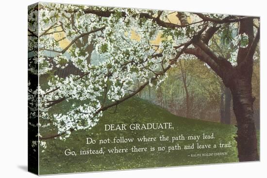 Advice for the Graduate, Cherry Blossoms-null-Stretched Canvas