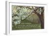 Advice for the Graduate, Cherry Blossoms-null-Framed Art Print
