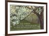 Advice for the Graduate, Cherry Blossoms-null-Framed Premium Giclee Print