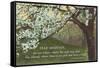 Advice for the Graduate, Cherry Blossoms-null-Framed Stretched Canvas