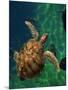 Aegean Sea Turtles III-Vision Studio-Mounted Art Print