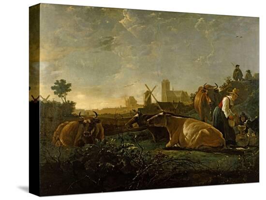 Stretched Canvas Print, , large
