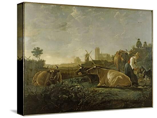 Stretched Canvas Print, , large