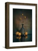 aenaean-liu xing-Framed Photographic Print