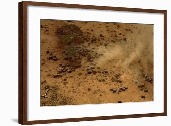 Aerial African Elephant in Plains-null-Framed Photographic Print