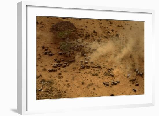 Aerial African Elephant in Plains-null-Framed Photographic Print