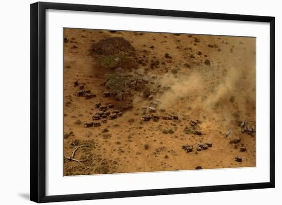 Aerial African Elephant in Plains-null-Framed Photographic Print