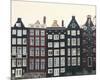 Aerial Amsterdam I-Irene Suchocki-Mounted Giclee Print