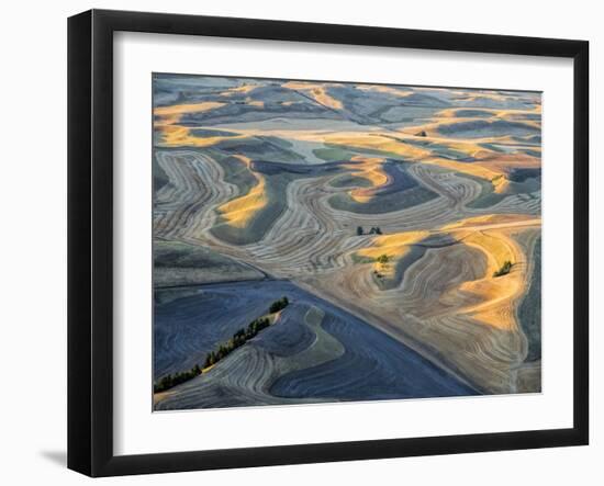 Aerial at Harvest Time in the Palouse Region of Eastern Washington-Julie Eggers-Framed Photographic Print