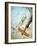 Aerial Combat, World War One-null-Framed Giclee Print