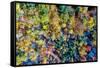 Aerial Fall Trees-Jason Veilleux-Framed Stretched Canvas