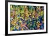 Aerial Fall Trees-Jason Veilleux-Framed Art Print