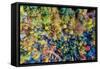 Aerial Fall Trees-Jason Veilleux-Framed Stretched Canvas