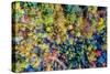 Aerial Fall Trees-Jason Veilleux-Stretched Canvas