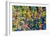 Aerial Fall Trees-Jason Veilleux-Framed Art Print