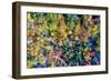 Aerial Fall Trees-Jason Veilleux-Framed Premium Giclee Print