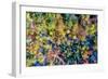 Aerial Fall Trees-Jason Veilleux-Framed Premium Giclee Print