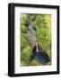 Aerial Helicopter Tour from Hilo to Pu'u O'o Vent and Crater area, Big Island, Hawaii, USA-Stuart Westmorland-Framed Photographic Print