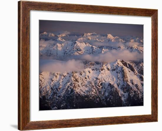 Aerial Landscape, Olympic Mountains, Olympic National Park, Washington State, USA-Colin Brynn-Framed Photographic Print