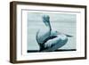 Aerial Love-Marcus Prime-Framed Art Print