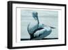 Aerial Love-Marcus Prime-Framed Art Print