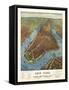 Aerial Map for Root and Tinker of New York-null-Framed Stretched Canvas