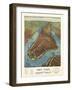 Aerial Map for Root and Tinker of New York-null-Framed Giclee Print