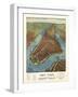 Aerial Map for Root and Tinker of New York-null-Framed Giclee Print