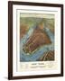 Aerial Map for Root and Tinker of New York-null-Framed Giclee Print