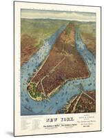 Aerial Map for Root and Tinker of New York-null-Mounted Giclee Print