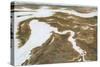 Aerial Marshland II-Michael Willett-Stretched Canvas