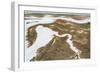 Aerial Marshland II-Michael Willett-Framed Art Print