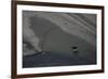 Aerial of a European Elk - Moose (Alces Alces) Crossing Sand Spit in the Rapadalen Valley, Sweden-Cairns-Framed Photographic Print