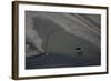 Aerial of a European Elk - Moose (Alces Alces) Crossing Sand Spit in the Rapadalen Valley, Sweden-Cairns-Framed Photographic Print