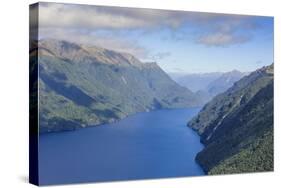 Aerial of a Huge Fjord in Fiordland National Park-Michael-Stretched Canvas