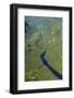 Aerial of a Little River Flowing Through the Untouched Mountains of Fiordland National Park-Michael-Framed Photographic Print