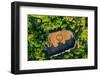 Aerial of a shabono (yanos), the traditional communal dwellings of the Yanomami tribes-Michael Runkel-Framed Photographic Print