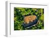 Aerial of a shabono (yanos), the traditional communal dwellings of the Yanomami tribes-Michael Runkel-Framed Photographic Print