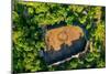 Aerial of a shabono (yanos), the traditional communal dwellings of the Yanomami tribes-Michael Runkel-Mounted Photographic Print