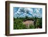 Aerial of a shabono (yanos), the traditional communal dwellings of the Yanomami tribes-Michael Runkel-Framed Photographic Print