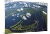 Aerial of Amazon River Basin, Manaus, Brazil-Art Wolfe-Mounted Premium Photographic Print