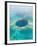 Aerial of Blue Hole, Sailboat Anchored, Lighthouse Atoll, Belize-Stuart Westmoreland-Framed Photographic Print