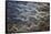 Aerial of braided rivers, Iceland-Art Wolfe-Framed Stretched Canvas