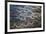 Aerial of braided rivers, Iceland-Art Wolfe-Framed Photographic Print