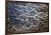 Aerial of braided rivers, Iceland-Art Wolfe-Framed Premium Photographic Print