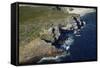 Aerial of Cape of Good Hope, Cape Peninsula, Cape Town, South Africa-David Wall-Framed Stretched Canvas